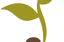 Centre d'Interpretació del Medi Ambient