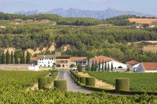 Bodega Segura Viudas