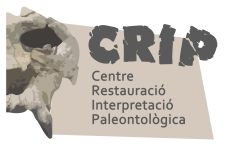 CRIP_Centre de Restauració i Interpretació Paleontològica