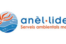 Anèl·lides, serveis ambientals marins