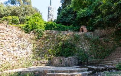 Barcelona restaura trece fuentes naturales de Collserola para preservar el patrimonio y la biodiversidad