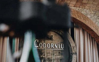Codorníu, liderar el mercado con conciencia sostenible