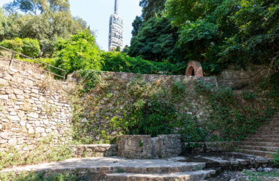 Barcelona restores 13 natural springs in Collserola to preserve heritage and biodiversity