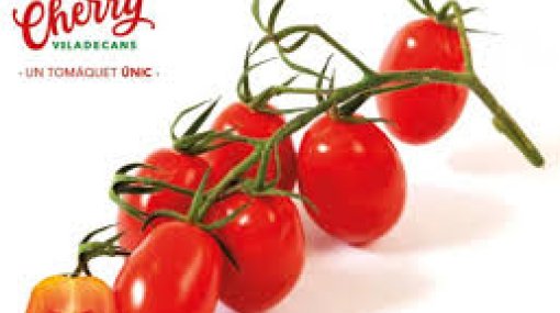 GREMI D'HOSTALERIA DE VILADECANS