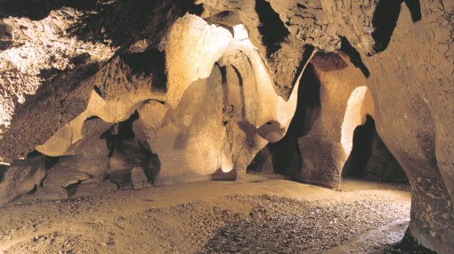 Museu de Moià-Parc Prehistòric de les Coves del Toll