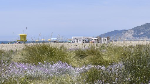 Platja de Castelldefels