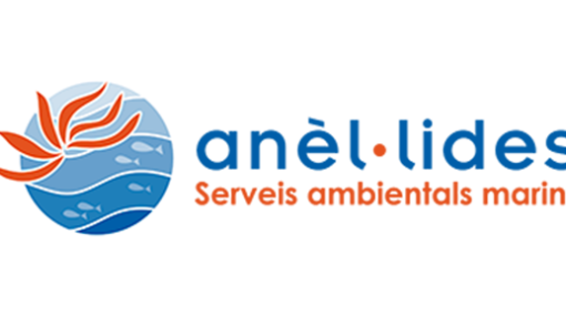 Anèl·lides, serveis ambientals marins