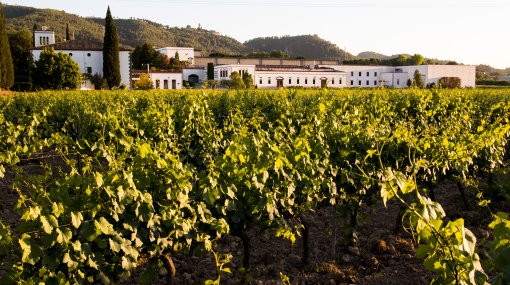 Bodegues Sumarroca
