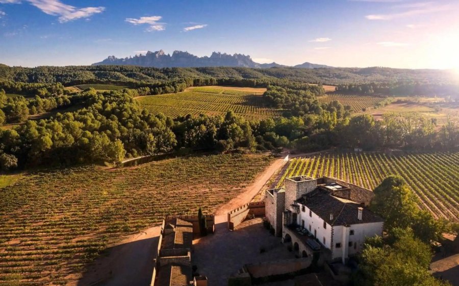 Heretat Oller del Mas: un celler amb mil anys d'història